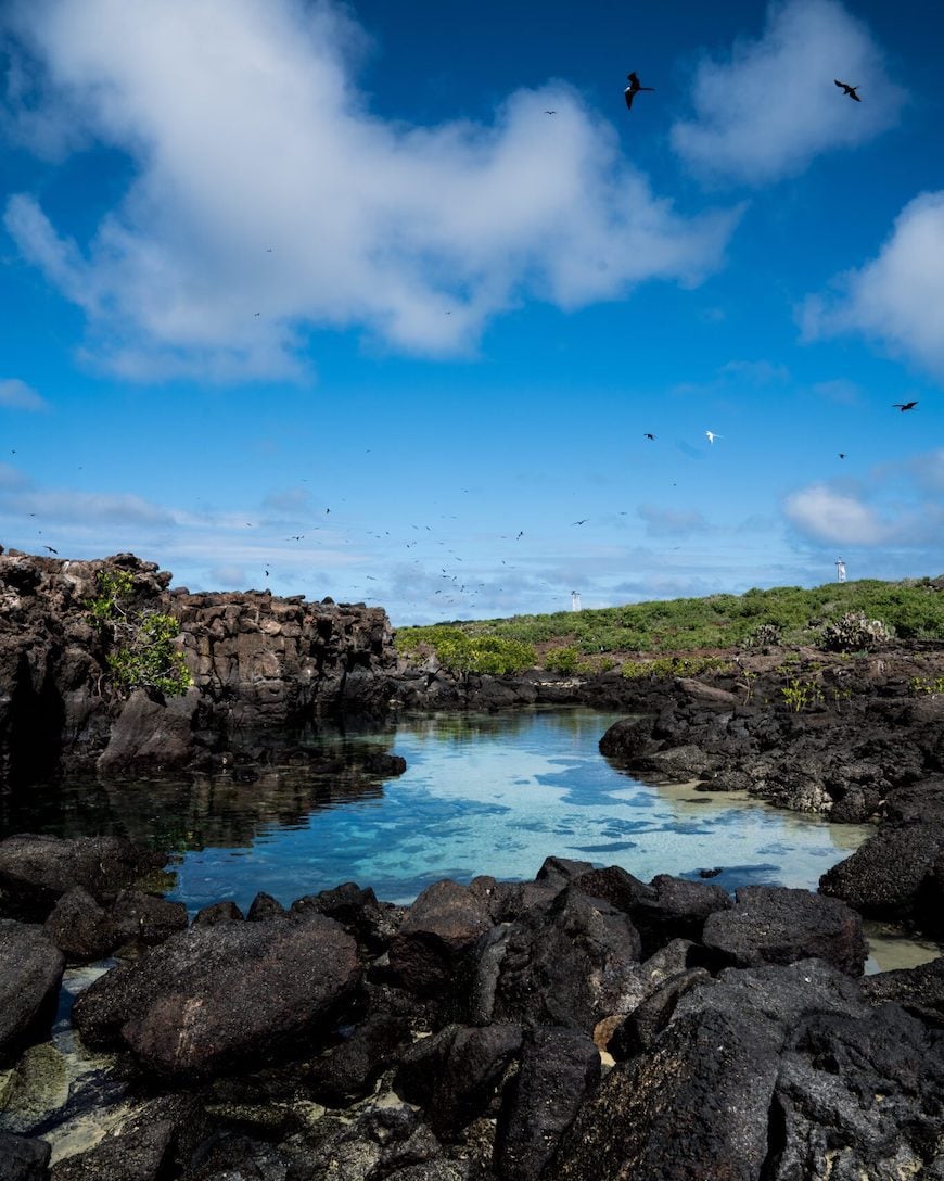 Galapagos Photo Tour // Luxury Cruise