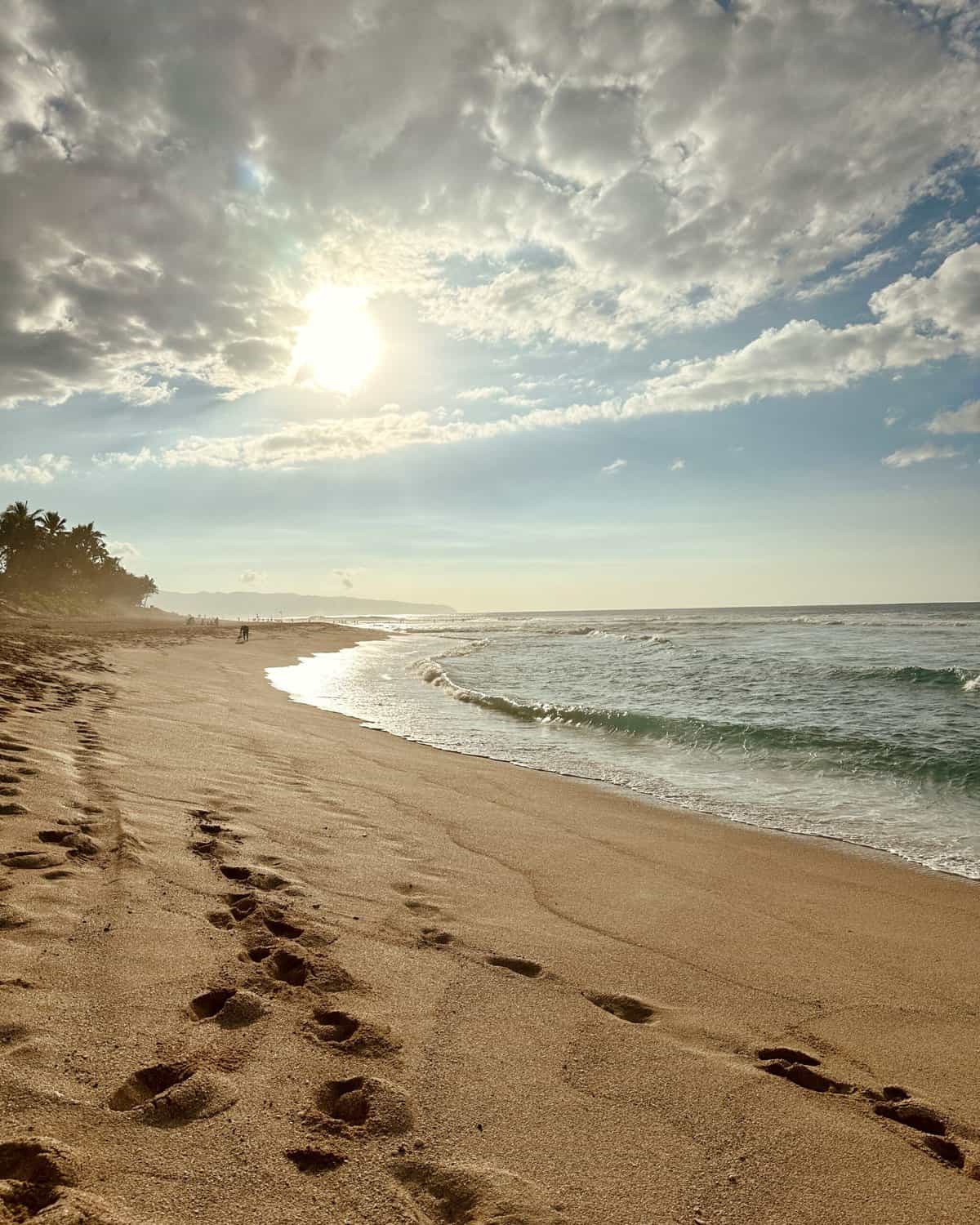 Gaby's Guide to Oahu
