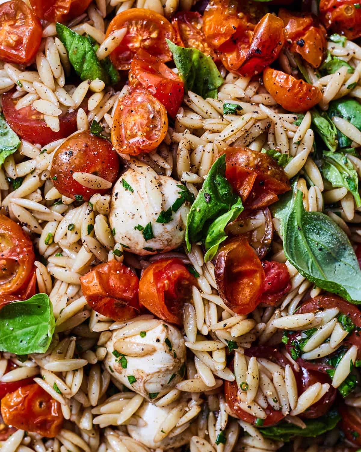A tight shot of orzo pasta salad with jammy tomatoes, fresh basil leaves, and small mozzarella balls tossed in a balsamic vinaigrette.